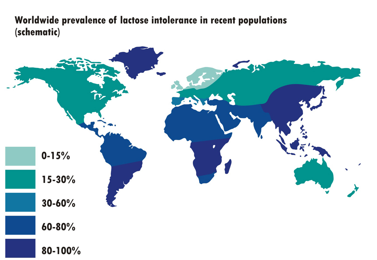 The Lowdown on Lactose Intolerance | Top 5 Supplements