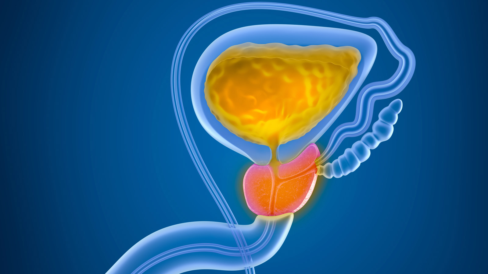 These Top 5 Prostate Supplements Can Help Reduce the Frequent Urinary Urges Waking You Up Every